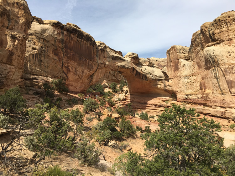 Capitol Reef National Park